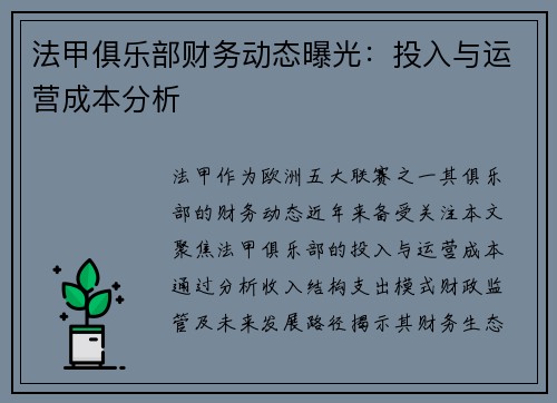 法甲俱乐部财务动态曝光：投入与运营成本分析
