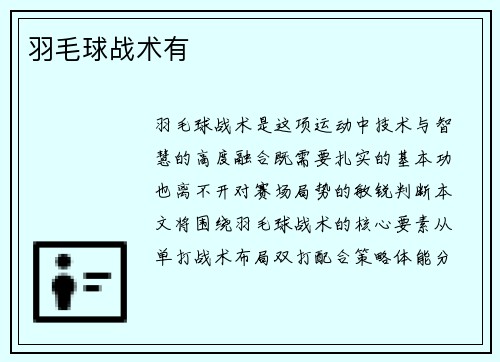 羽毛球战术有