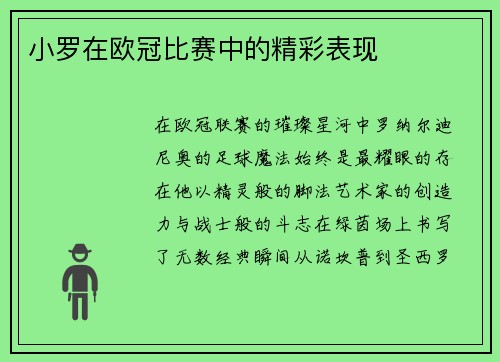 小罗在欧冠比赛中的精彩表现